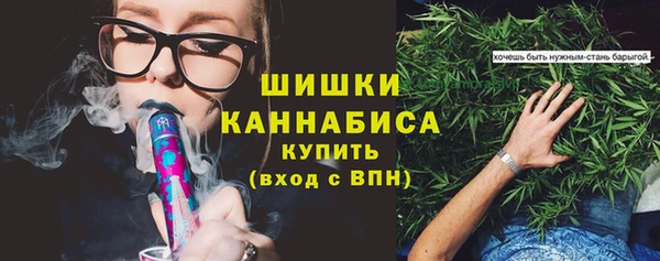 твердый Володарск